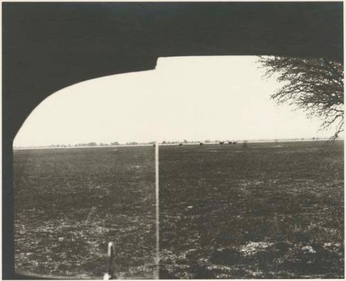 Ostriches in the distance, observed through a truck window