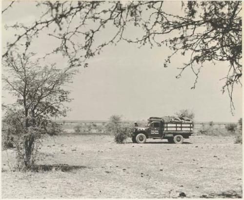 Distant view of the expedition truck, with Lake Ngami in the background