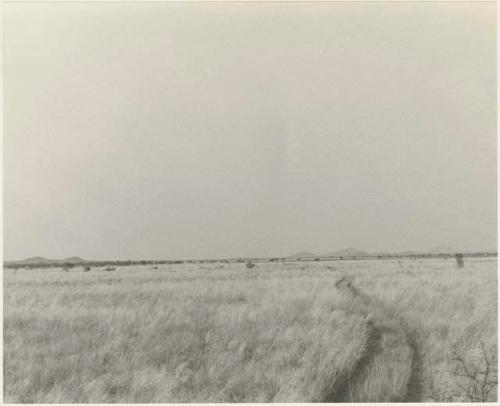 Track through grass and distant hills
