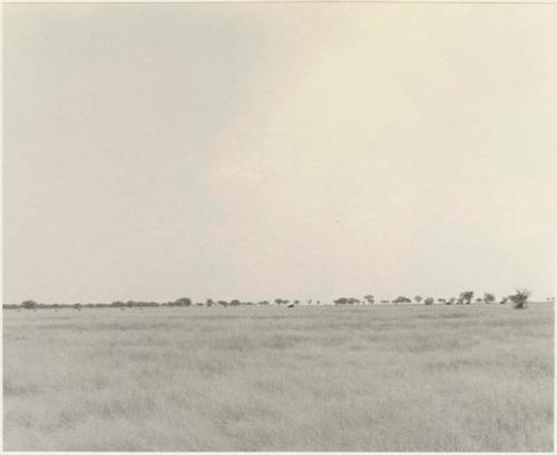 Road between Sehitwe and Kai Kai (print is a cropped image)


