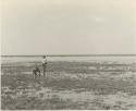 Elizabeth Marshall Thomas and John Marshall, who is holding a gun in his hand, wading in Lake Ngami


