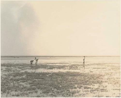 Elizabeth Marshall Thomas, Casper Kruger, and John Marshall, who is holding a gun in his hand, wading in Lake Ngami



