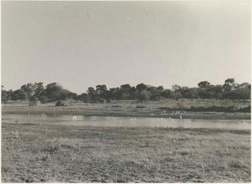 Taoge River between Sehitwe and Tsau










