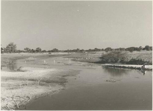 Taoge River between Sehitwe and Tsau










