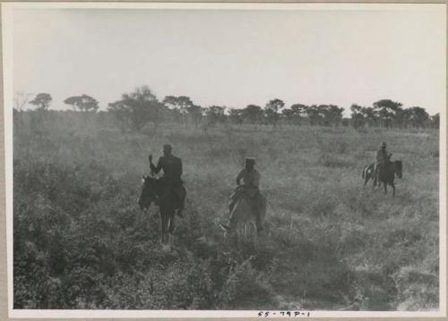 Men riding on horseback in grass









