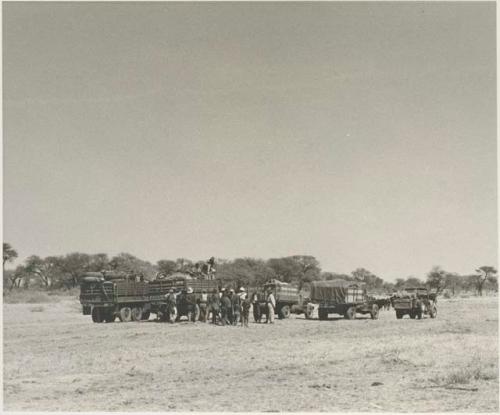 People standing next to expedition members near trucks, distant view