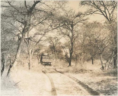 Expedition truck (Dodge) in the road



