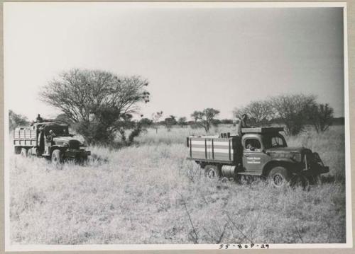 Expedition trucks in the grass, with trees in background

