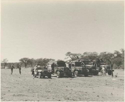 People sitting in and standing next to expedition trucks lined up
