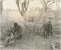 "/Qui Navel" seated with three unidentified boys beside him and //Kushay digging a hole to build a skerm




















