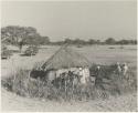 Women gathered around a hut, with the expedition trucks in the background













