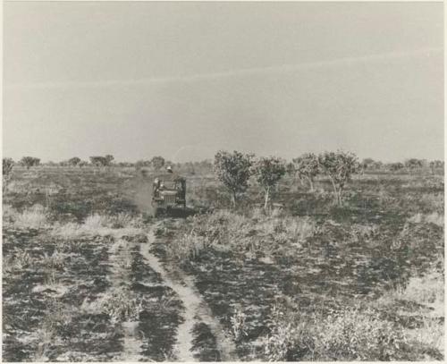 Expedition truck in a burned area