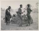 Three men, including /Gunda and ≠Gao, dancing around a group of seated women singing; medicine man leaning over "Gao Medicine" far back behind
