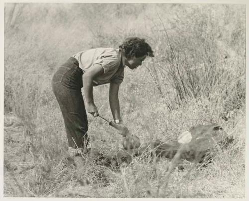 Elizabeth Marshall Thomas bending over to spray something

