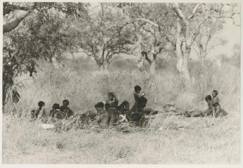 Group of people under a tree


