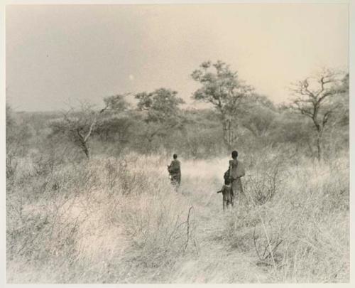 Two women and a child walking in the grass, seen from a distance



