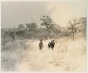 Group of people walking in the grass



