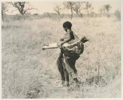 Woman carrying meat in a kaross



























