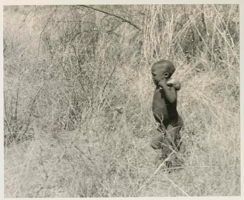 Child walking in grass


























