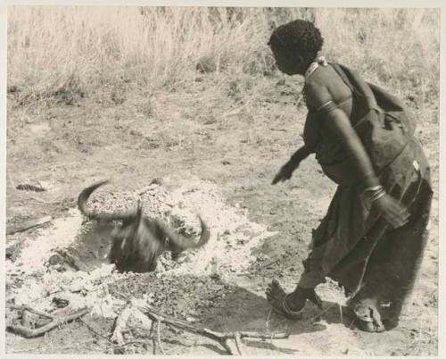 Di!ai placing a wildebeest head into a hole with coals

























