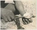 Person's hands holding a bone and a mixing stick
























