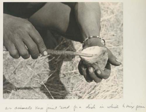 Person's hands holding a bone and a mixing stick























