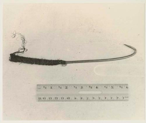 Springhare hook and ruler for measurement
























