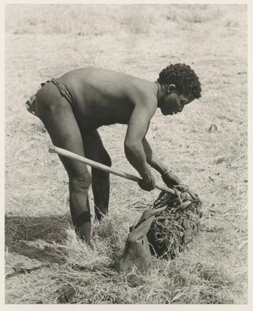 ≠Toma bending over a net with a stick
























