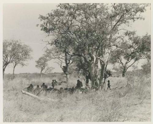 Group of Ju/'hoansi in a werft under a tree

























