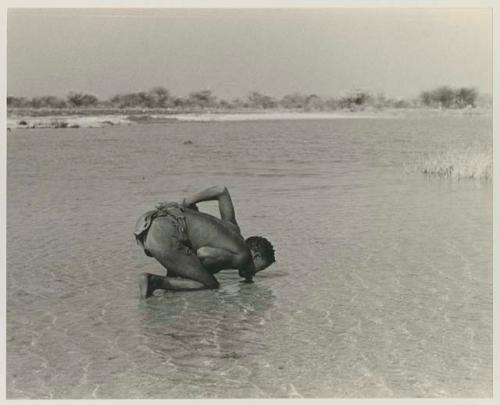 "Crooked /Qui" drinking from the pan by lapping the water with his tongue























