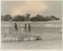 Boys wading through the water






