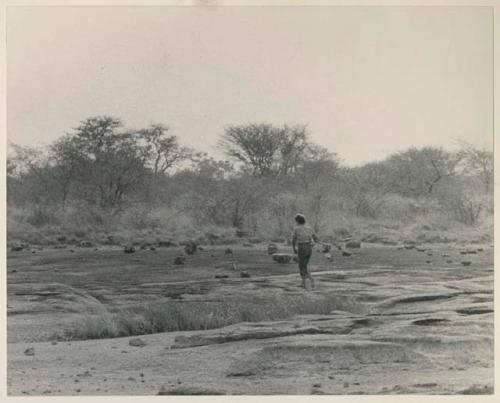 Elizabeth Marshall Thomas walking across the pan, seen from a distance












