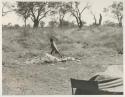 Ju/'hoan child walking, distant view

