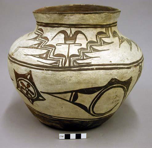 Jar, polacca polychrome style c. Zuni rain bird design.