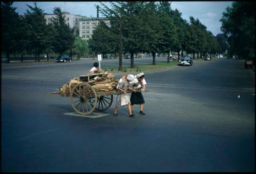 Women pulling cart