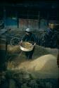 Woman winnowing grain