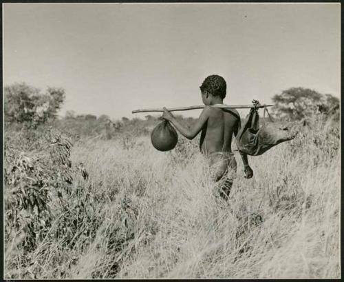 "Waterhole / Gwia": Boy carrying a water bag made from an animal stomach and another bag on a digging stick on his shoulder, view from behind (print is a cropped image)