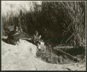 "Waterhole / Gwia": Two women filling ostrich egg shells with water at a waterhole (print is a cropped image)