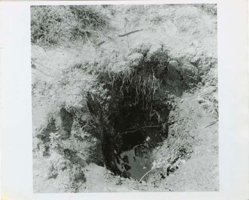 "Waterhole / Gwia": Waterhole with water in it (print is a cropped image)