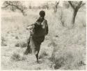 "Meat sharing": Woman carrying meat in a kaross seen from behind (print is a cropped image)