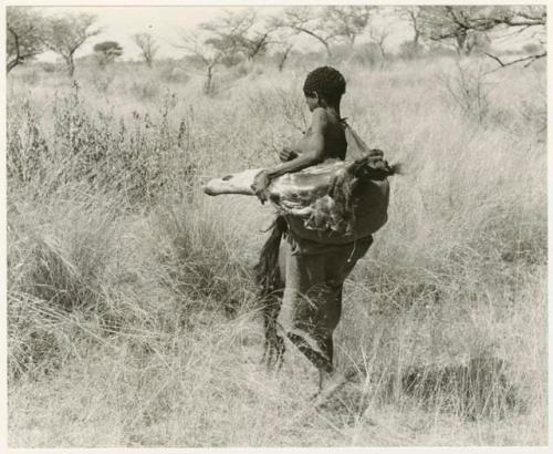 "Meat sharing": Woman carrying meat in a kaross, seen from behind (print is a cropped image)