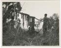 "Meat sharing": People standing near strips of meat hanging on branch to dry (print is a cropped image)