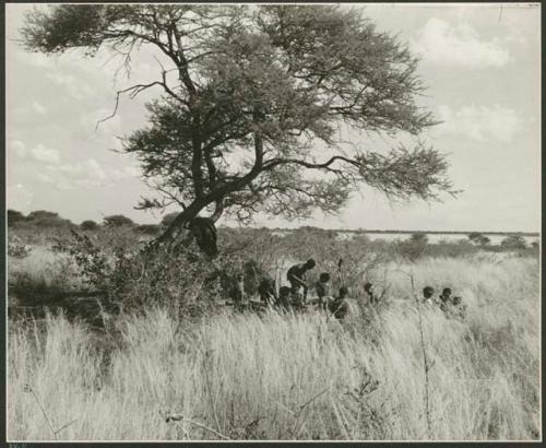 "Move": Family settled under a tree, without a skerm (print is a cropped image)