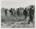 [No folder title]: Five women walking in a line, carrying digging sticks on their shoulders (print is a cropped image)