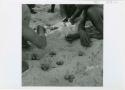 [No folder title]: Group of boys playing /Ui (the counting game) in the sand, close-up (print is a cropped image)