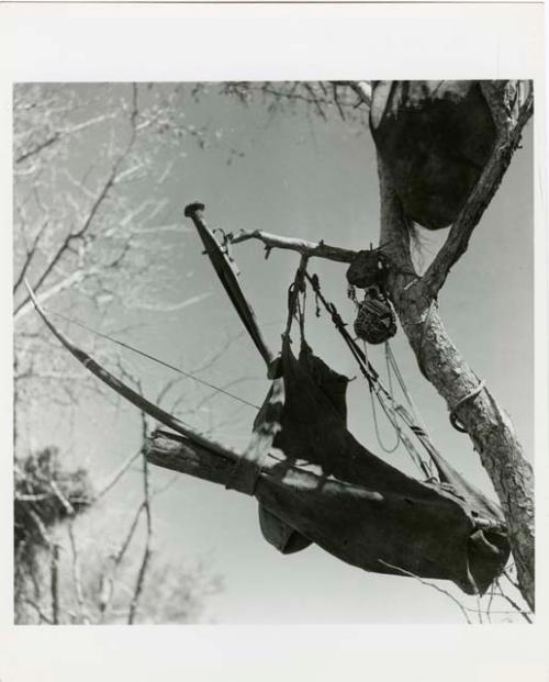 "Possessions": Hunting bag, knife, and other possessions hung in a tree (print is a cropped image)