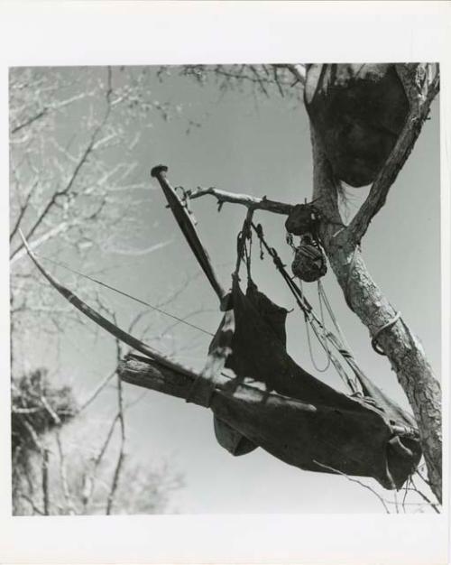 "Possessions": Hunting bag, knife, and other possessions hung in a tree (print is a cropped image)