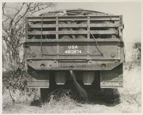 Back of the GMC truck with wildebeest tail hanging from it