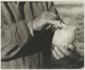 Person holding a penduline tit nest, showing the opening of the nest