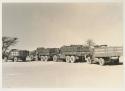 Expedition trucks lined up, with a wildebeest tail on the back of the GMC